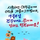 빚 이미지
