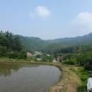 마이바베큐캠프 이미지