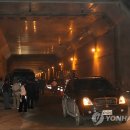 대교부식