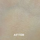 세기스템셀 이미지