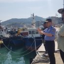 완도19호 이미지