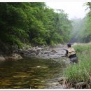 산천어낚시 이미지