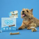 본아페티 이미지