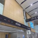 일상(+스맨파 콘서트 후기)