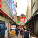 올레길 산림형 3코스 이미지