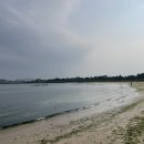 [하도마을]스노클링 네이버블로그