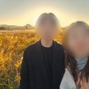 순천만 갈대숲 호스텔 | 순천만습지 갈대밭 열차 | 노을 일몰 철새 | 스카이큐브 소요시간 | 순천 커플 가을여행