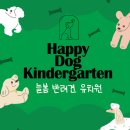 늘봄반려견유치원 이미지