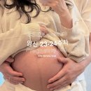 11545-12-23-03 | 임신 23-24주 | 쌍둥이 임산부 임당검사, 배뭉침, 소화불량, 태교여행