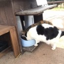 준환농장 이미지