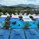 만산농장 | 🦙알파카 수영장과 바베큐장이 있는 상주 대형카페커피 팀버 상주 풀마운틴_내돈내산