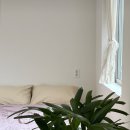 플랜티풀랜드 이미지