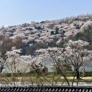 호암미술관 이미지