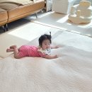 워싱맨물세탁 | 아기낮잠패드 고민 끝 🤍 아기이불패드 마이리틀데이지 솔직후기 국내제작 미끄럼방지