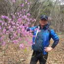 까치골식당 이미지