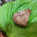 한우마당 이미지