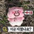 여주-0803 네이버블로그