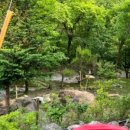 노팅힐펜션패밀리 이미지