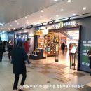 올리브영서면역사점