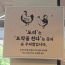 산아래 | 동탄맛집 산아래 토종닭도리탕 방문 후기