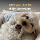pet50거6205 | [내돈내산] 강아지 이갈이 장난감 추천 | 벽지·몰딩 다 뜯던 쿠키가 멈춘 이유, '베러본' 후기