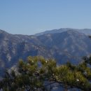 광덕3로5 이미지