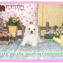 왕자보세 - 포항시 북구 칠성천길 114-1 | 왕자보세
