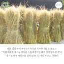 명우축산 이미지