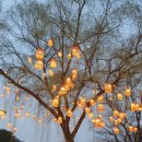 대가야 | 2026 고령대가야축제 즐길거리 한가득 대만족 후기