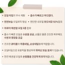 미네네일 이미지
