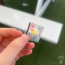 물고기아저씨 | 엄마랑 태국 여행 Day 2 | 물고기 천국에 왕도마뱀까지! 씨스타 시밀란섬 투어 후기 (맘씨좋은아저씨)