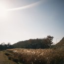 강릉(강릉) | [강릉] 가을 먹보 강릉 여행 후기