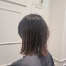 드림카클리닉 | [잇결] 서울숲 미용실 단발 매직셋팅펌 후기♥︎