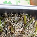 오렌지꼬마김밥 이미지