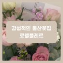 로웰플레르 이미지