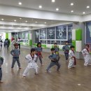 용인대 대동 태권도 이미지