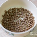 퍼피맘마 이미지