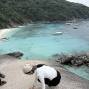 코리아세븐 신림드림점 | 푸낏