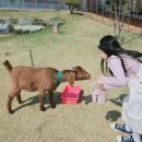 버드앤쥬