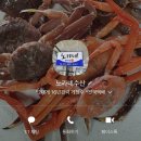 영덕 대게 제철 찌는 법 노가네수산 당일 생물 고속버스 택배 내돈내산 후기