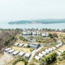 처음처럼 펜션 네이버블로그