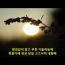 [번안곡] 여수(旅愁/미국민요 ) - 박수남 이미지