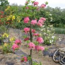 부리농장 이미지