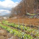 구이면주민센터 이미지