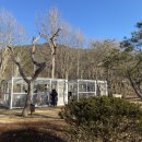 비비큐완주상관점 네이버블로그