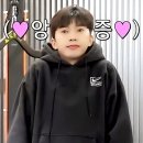 영웅체육관 이미지