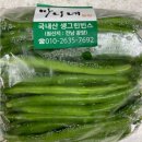 마니네 - 유성구 | 마니네