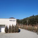 제일목장 | 가평여행 가평양떼목장 아이와가볼만한곳 추천