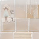 쌀강아지 이미지