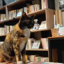 순심PC | 동반북스 일일책방지기 체험후기